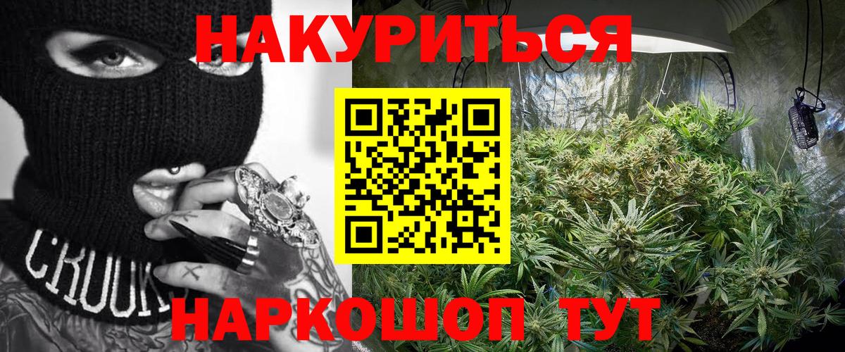 Канабис планчик Муром